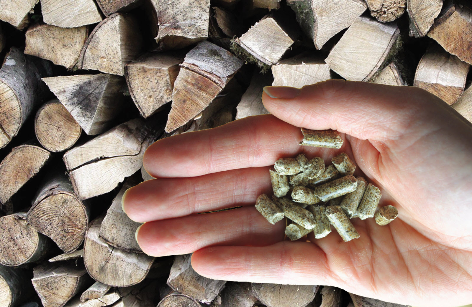 Granulés : où trouver des pellets de bois pas (trop) chers ?