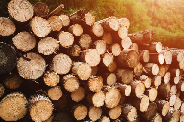 Gozeco : Comment améliorer la productivité d’un poêle à bois ?