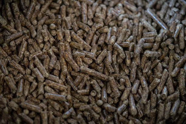 Gozeco :  Coût réel d’une chaudière à granulés de bois
