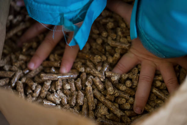 Gozeco : Installation d’un poêle à pellets sans conduit de cheminée