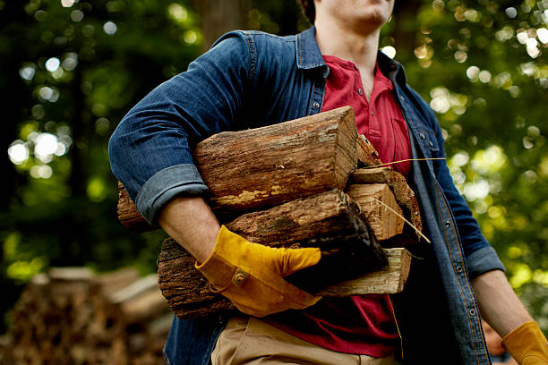 Gozeco : La filière bois : un système de chauffage le plus utilisé actuellement