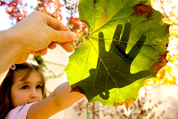 Gozeco : La transition énergétique en France