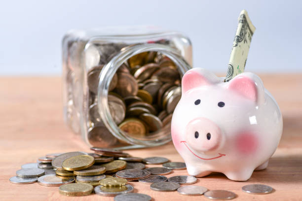 Gozeco : Les différents types de soutien financier pour les travaux d'isolation