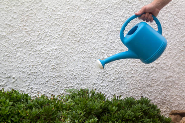 Gozeco : Les gestes simples qu’on peut faire avec l’eau de pluie