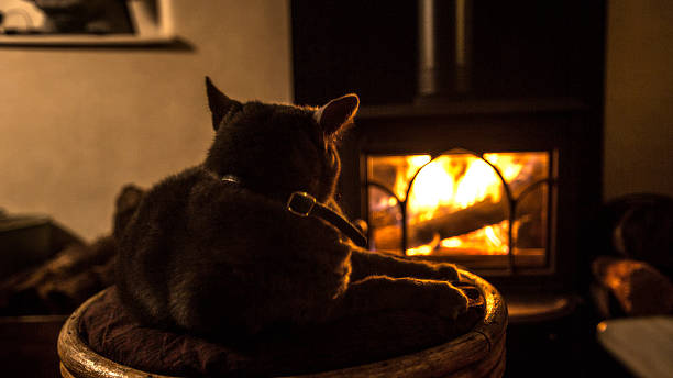 Gozeco : Les procédures à suivre pour trouver un spécialiste pour installer sa chaudière à granulés