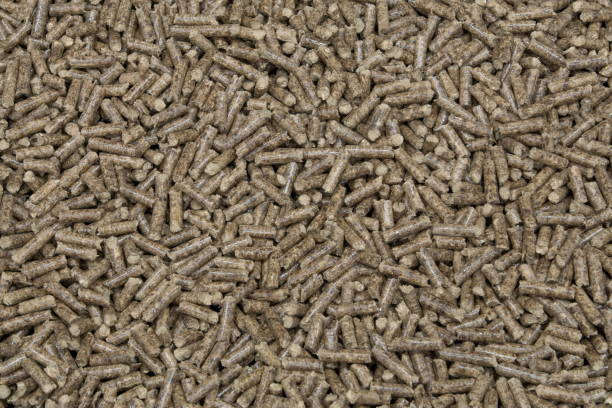 Gozeco : Les renseignements utiles avant la construction d’un silo à pellets