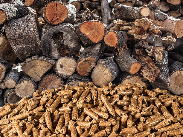 Gozeco : Procédure de fabrication des granulés de bois 