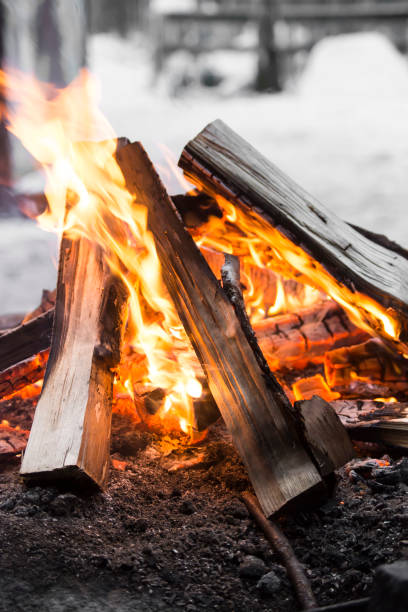 Gozeco : Quel type de chauffage au bois choisir ?