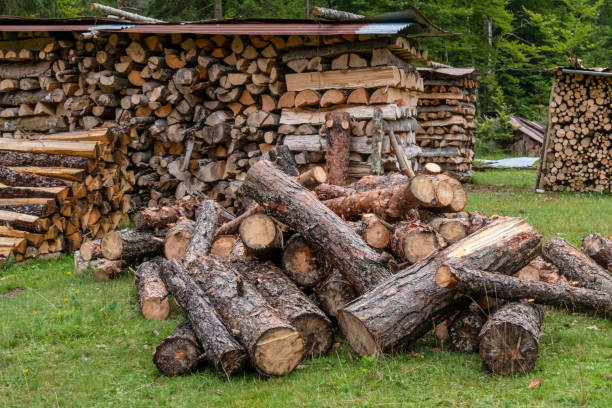 Gozeco : Quelles sont les conditions à savoir lors de la livraison de pellets ?