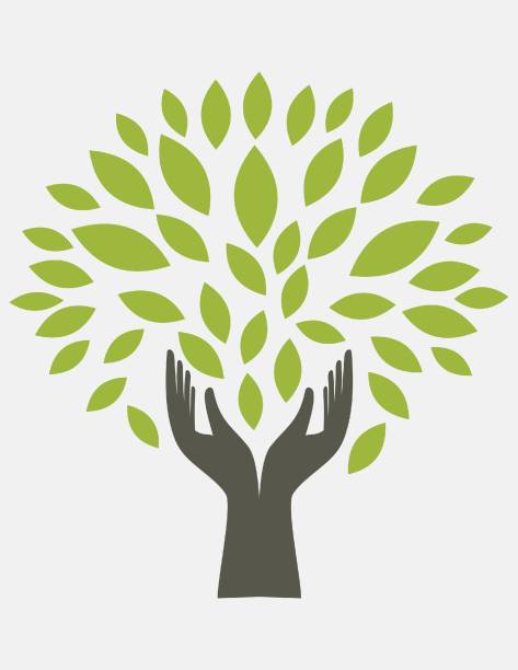 Gozeco : Quels sont les avantages avec l’utilisation d’une chaudière pulsatoire ?