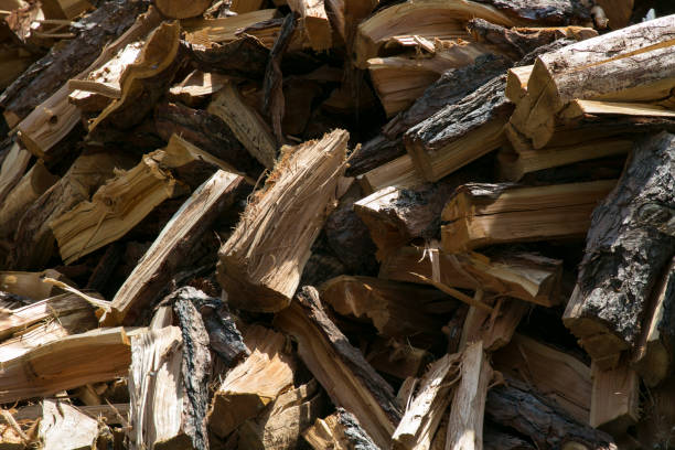 Gozeco : Récupérer du bois pour chauffer des bâtiments publics de la Charente