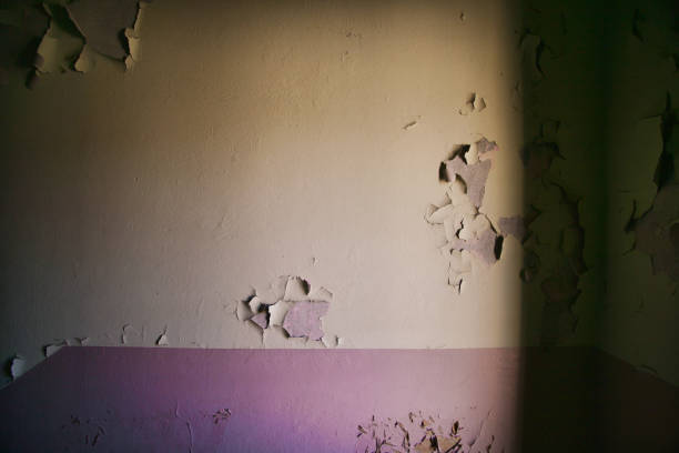 Gozeco : Résoudre les problèmes de remontées capillaires