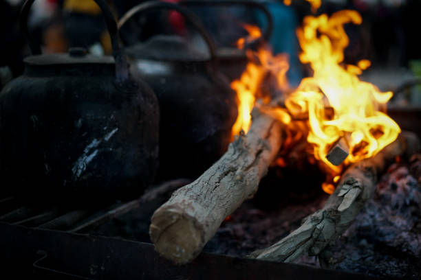 Gozeco : Sur quelle base doit-on choisir une chaudière bois ?